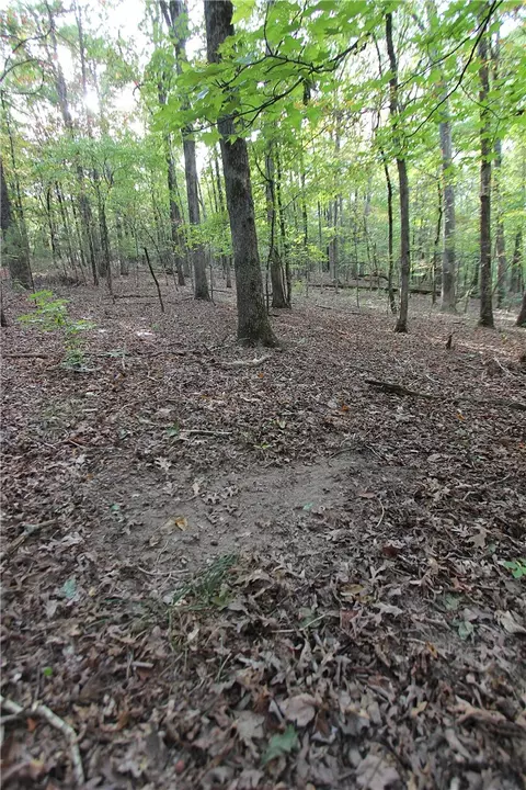 tbd High Rock Lancaster Rd, Rudy, AR 72952 photo 6