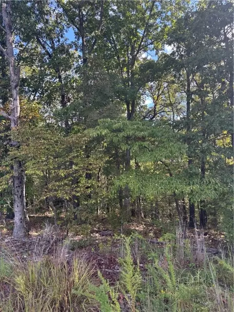 Annabell Lane, Bella Vista, AR 72715