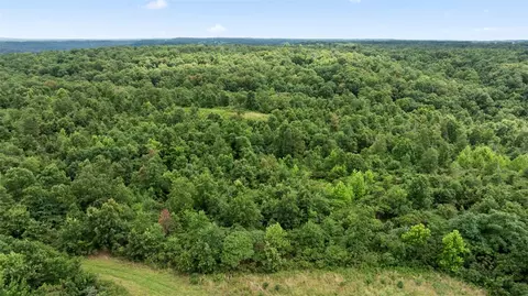 Tract 2 Styles Road, Noel, MO 64854 photo 5