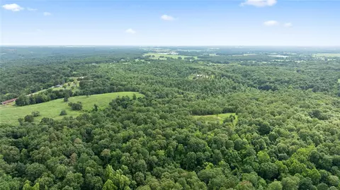 Tract 2 Styles Road, Noel, MO 64854 photo 29