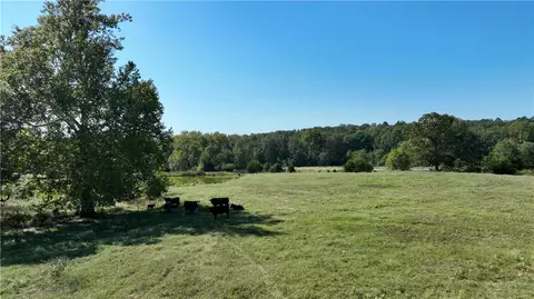 1230 Granny Hollar Rd, Atkins, AR 72823