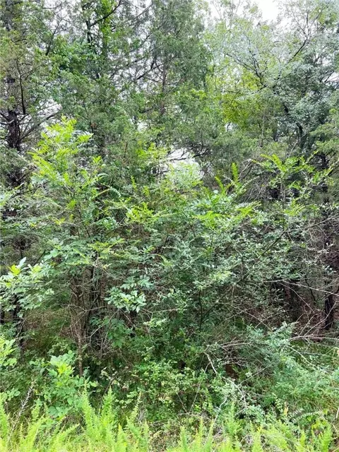 tbd Cedar Ln, Diamond City, AR 72644