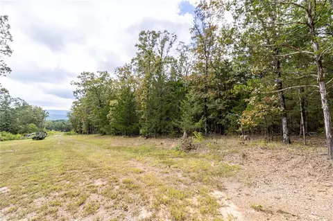 527 Thompson Bay Rd, New Blaine, AR 72851
