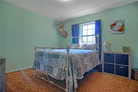 Bedroom - 335 Maple, Hector, AR 72843 photo 5 of 6
