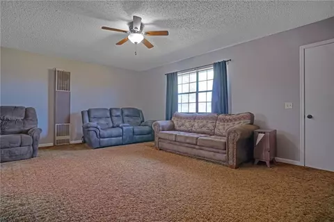 Living - 335 Maple, Hector, AR 72843 photo 1 of 1