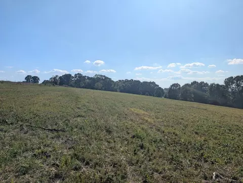 Bunker Road, Harrison, AR 72601 photo 2