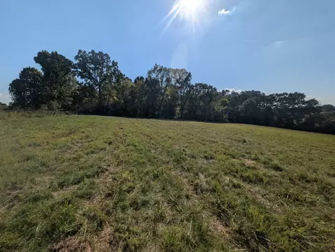Bunker Road, Harrison, AR 72601 photo 6
