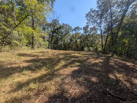 Bunker Road, Harrison, AR 72601 photo 10