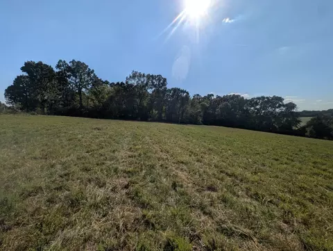 Bunker Road, Harrison, AR 72601 photo 7