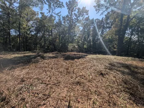 Bunker Road, Harrison, AR 72601 photo 8