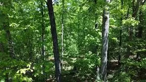 Wolverton Lane, Bella Vista, AR 72714