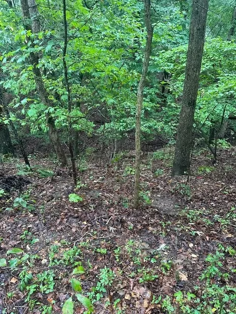 Tewkesbury Cir Drive, Bella Vista, AR 72714