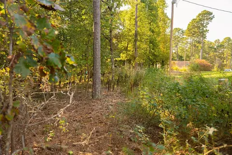 lot29 Wychwood Ln, Bella Vista, AR 72714