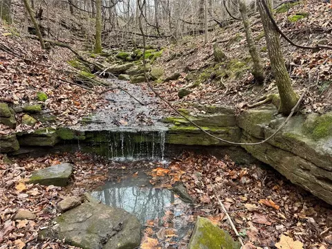 tbd Nc 6065, Jasper, AR 72641 photo 30