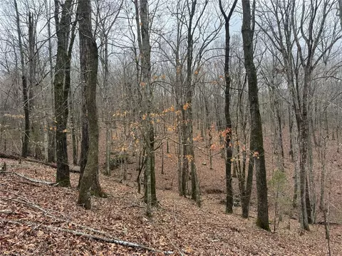 tbd Nc 6065, Jasper, AR 72641 photo 37