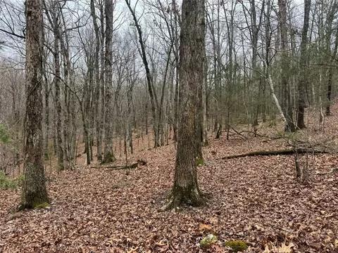 tbd Nc 6065, Jasper, AR 72641 photo 42