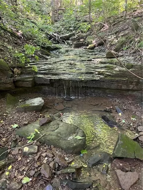 tbd Nc 6065, Jasper, AR 72641 photo 27