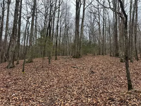 tbd Nc 6065, Jasper, AR 72641 photo 43