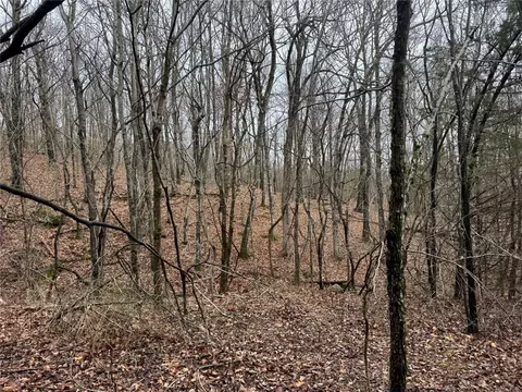 tbd Nc 6065, Jasper, AR 72641 photo 32