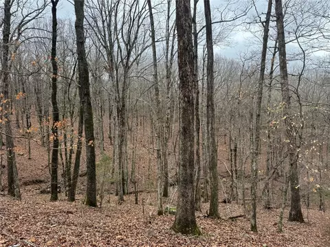 tbd Nc 6065, Jasper, AR 72641 photo 36