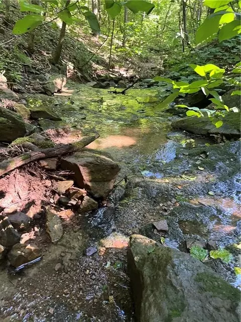 tbd Nc 6065, Jasper, AR 72641 photo 5