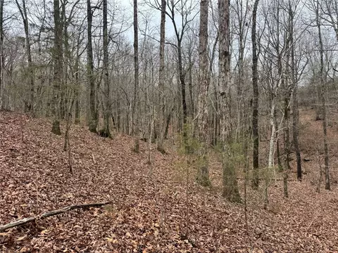 tbd Nc 6065, Jasper, AR 72641 photo 39