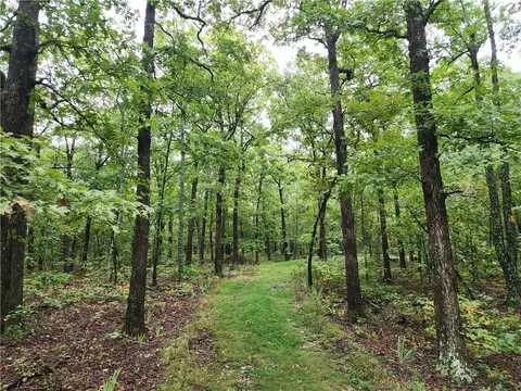 Cr 9731, Harrison, AR 72601 photo 3
