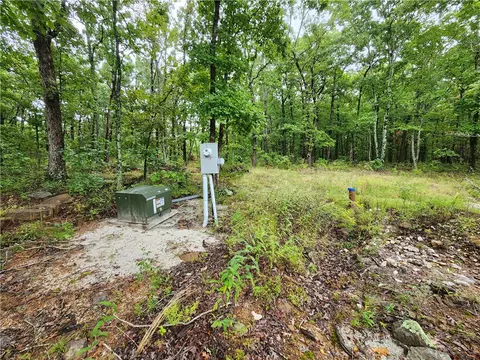 Cr 9731, Harrison, AR 72601 photo 2