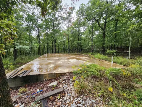 Cr 9731, Harrison, AR 72601 photo 4