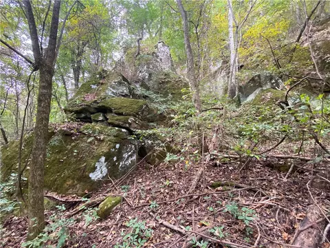Nc 8147, Jasper, AR 72641 photo 11