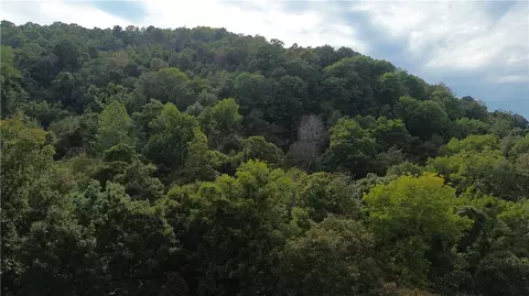 Nc 8147, Jasper, AR 72641 photo 21