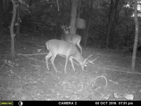 Nc 8147, Jasper, AR 72641 photo 25