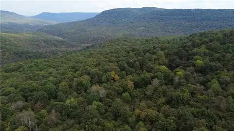 Nc 8147, Jasper, AR 72641 photo 19