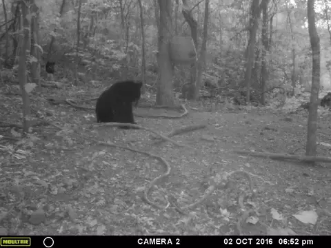 Nc 8147, Jasper, AR 72641 photo 22