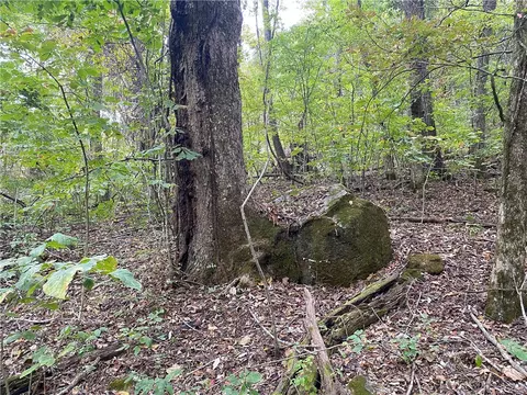 Nc 8147, Jasper, AR 72641 photo 12