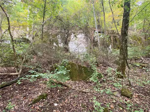 Nc 8147, Jasper, AR 72641 photo 10