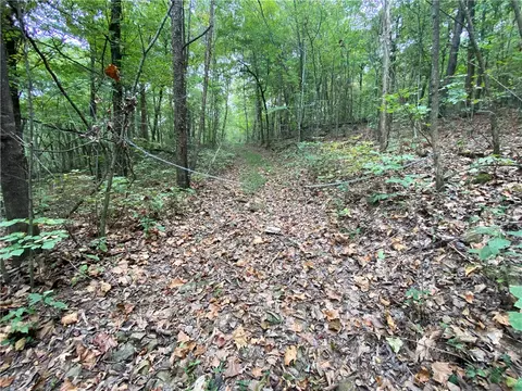 Nc 8147, Jasper, AR 72641 photo 6