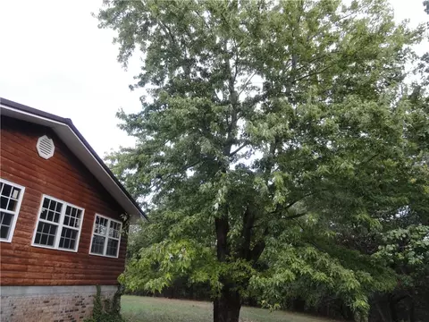 233 Piney Rd, Marshall, AR 72650 photo 6