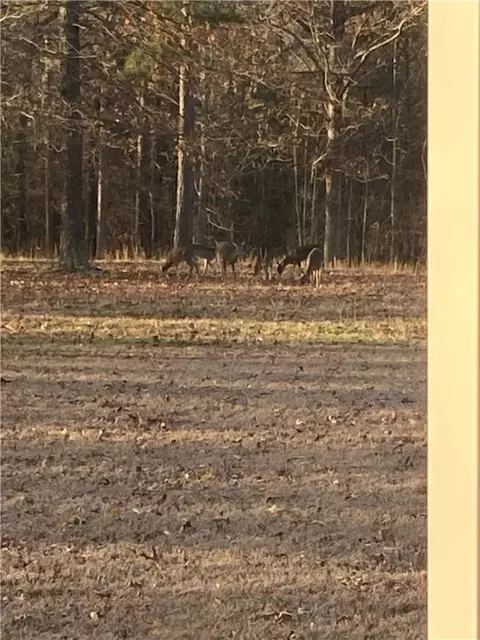 Other - 235 Nc 6058, Jasper, AR 72641 photo 8 of 8