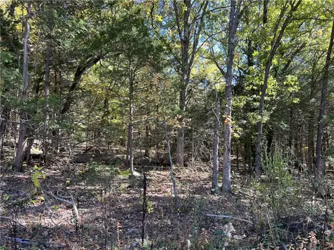 3970 Ozark Rd, Harrison, AR 72601 photo 34