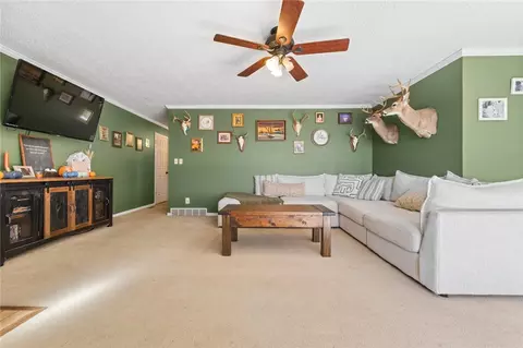 709 Gipson Rd, Harrison, AR 72601 photo 6