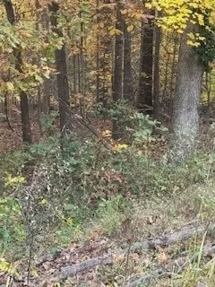 tbd Porlock Ln, Bella Vista, AR 72715