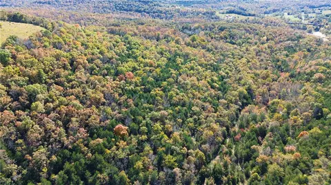 160 Acres Rushing Rdg, Harrison, AR 72601 photo 16