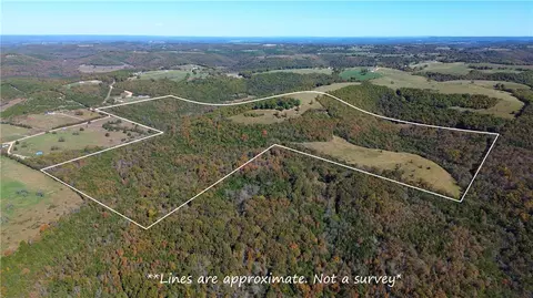 160 Acres Rushing Rdg, Harrison, AR 72601 photo 6