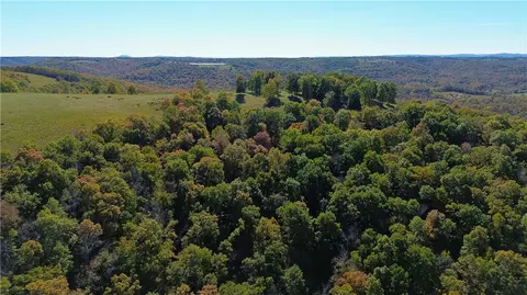160 Acres Rushing Rdg, Harrison, AR 72601 photo 23