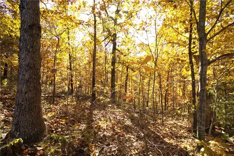 lot31 Rountree Dr, Bella Vista, AR 72715