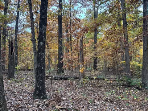 Claxton Drive, Bella Vista, AR 72714