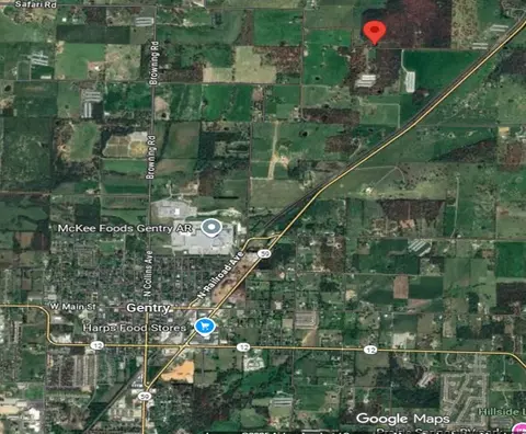 0 Floyd Moore Rd, Gentry, AR 72734 photo 5