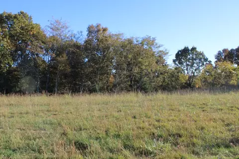 3 77 Acres - Zinc Rd, Harrison, AR 72601 photo 3