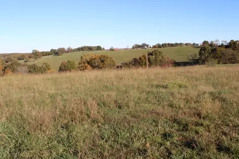 3 77 Acres - Zinc Rd, Harrison, AR 72601 photo 11